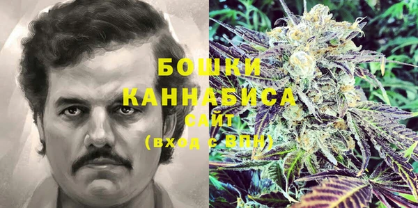 шишки Алексеевка